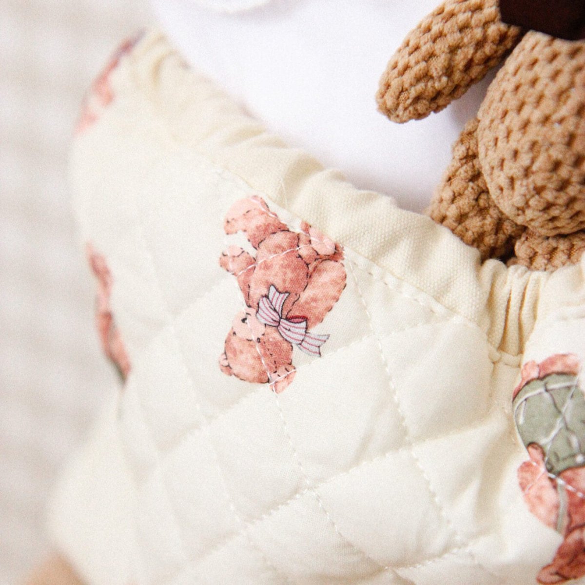 Box Teddy - Piccino store