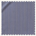 Cotone righe blu
