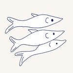 Sardine
